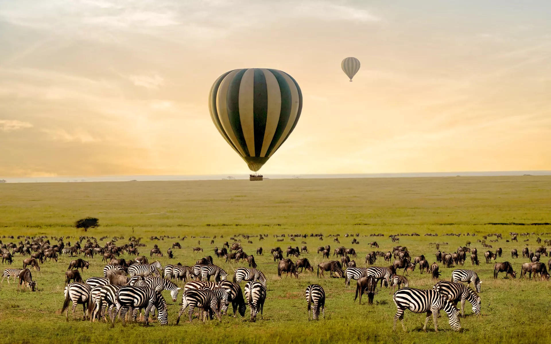 Hot Air Balloon Safari in Serengeti.