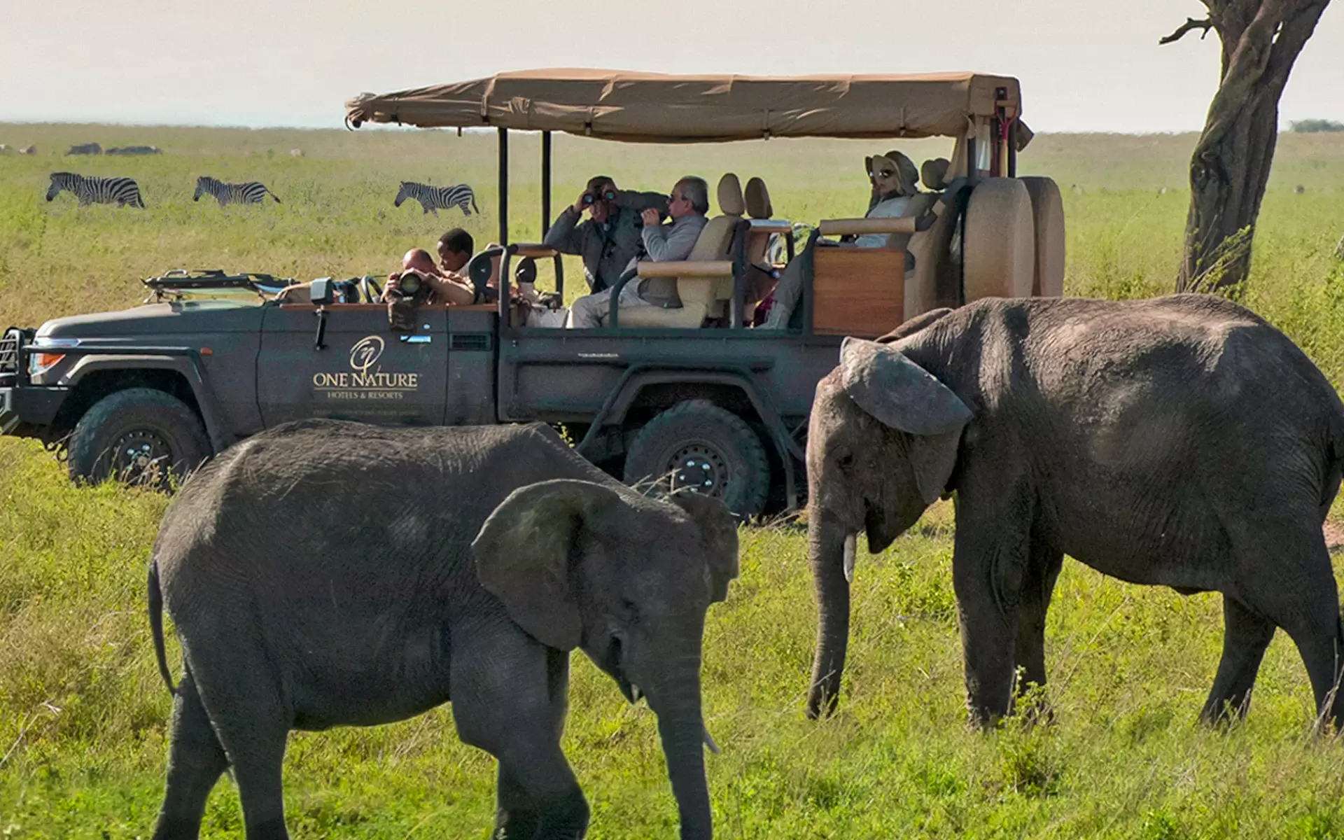 The Big 5 on a Photo Safari in the Serengeti.