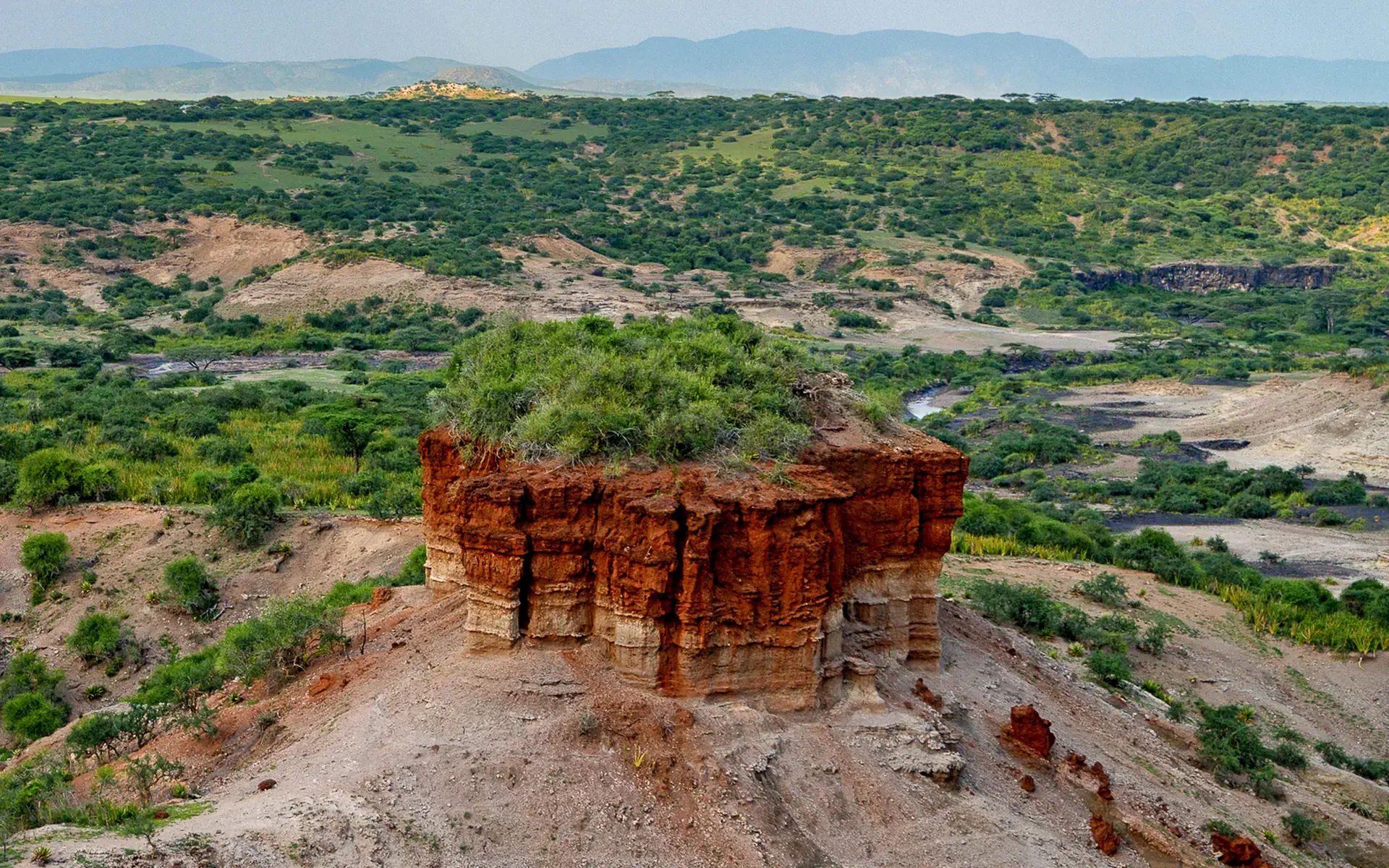 Olduvai Gorge, the cardle of mankind