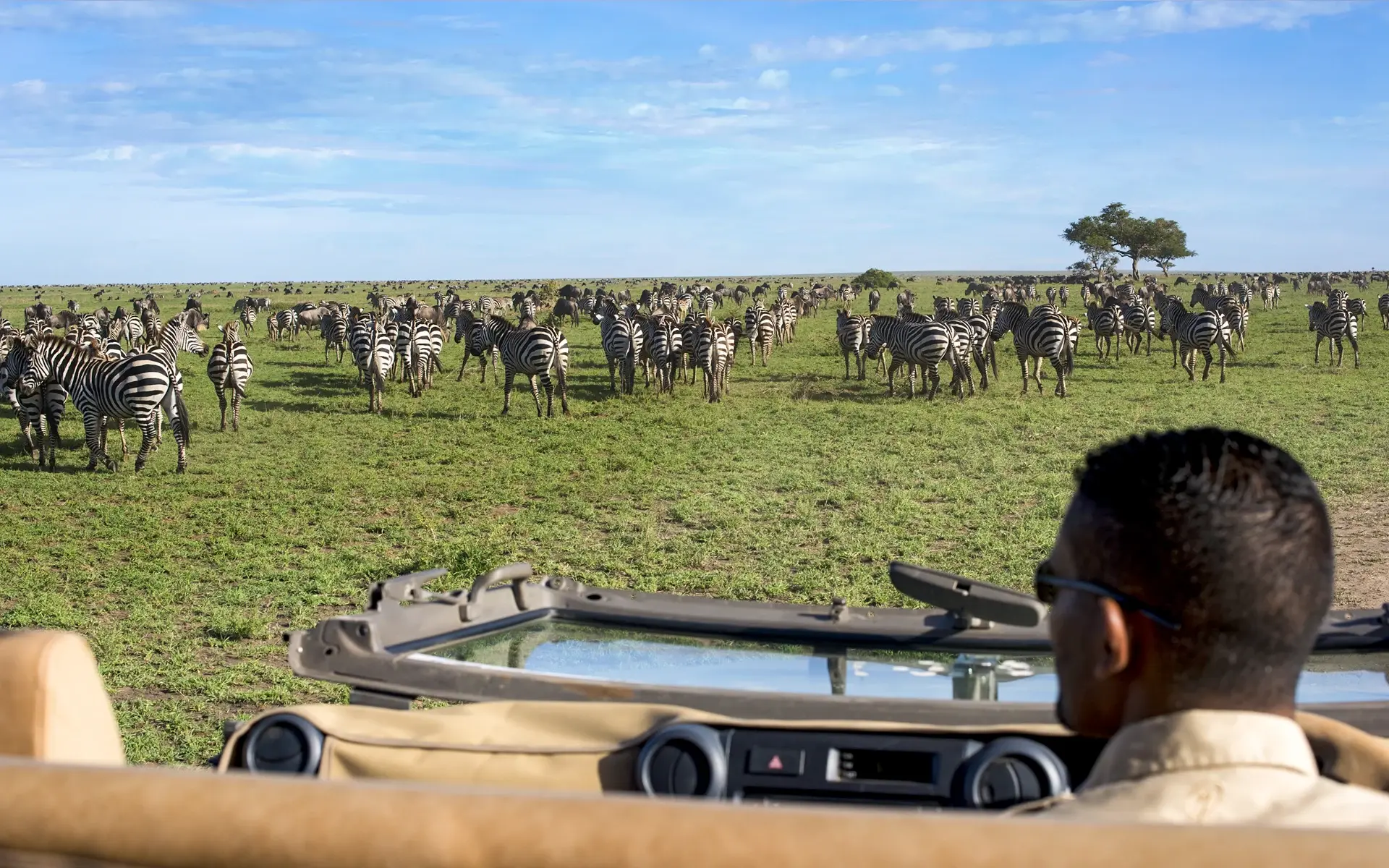 Expert guide and open vehicle at the Great Migration in Africa