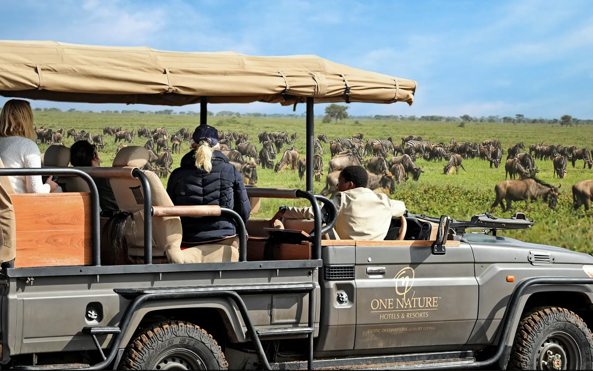 Guests enjoying the grazers on The Great Migration