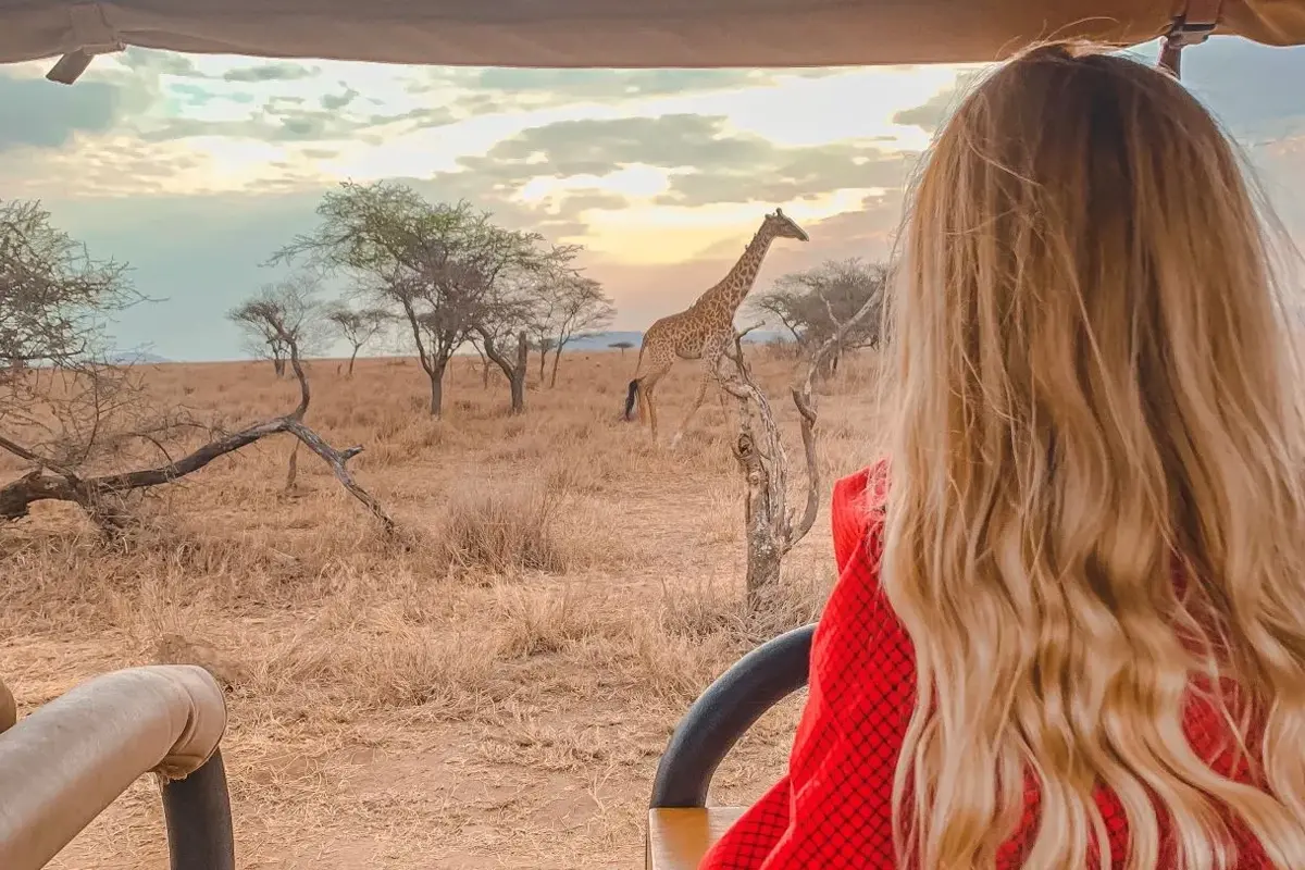 Open safari vehicle offering a clear view of a giraffe