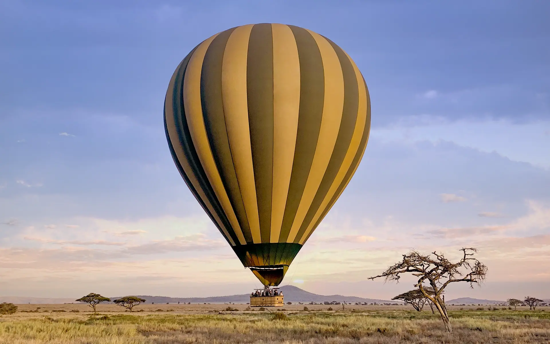 A hot air balloon soars above the vast savannah, offering a breathtaking view of the Serengeti.