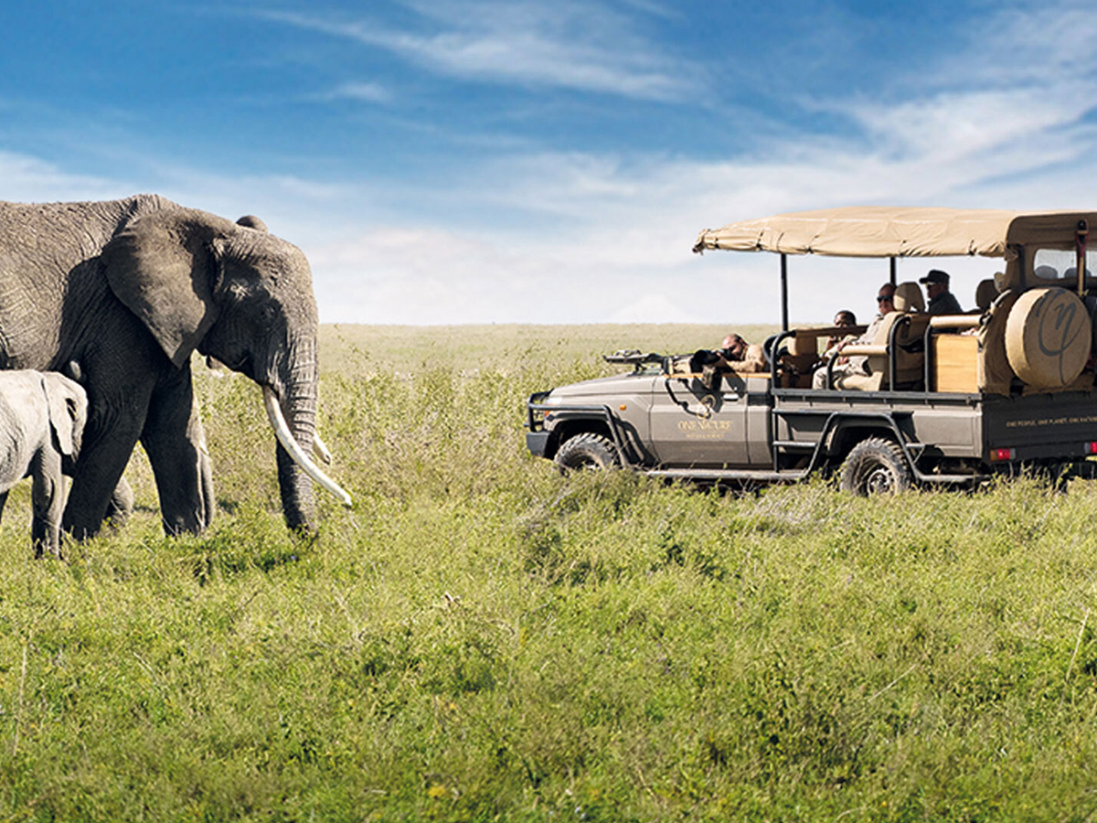 Serengeti Game Drive | One Nature Hotels