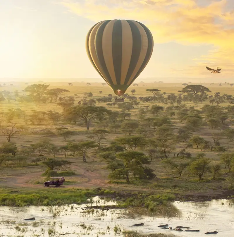 Balloon Safari in the Serengeti. Birds' eye view of the endless plains, with a safari vehicle and hippos in the river.