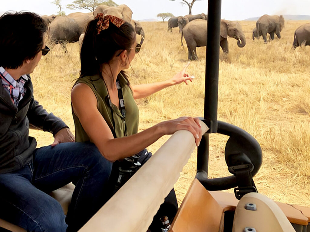 Romantic Getaway to the safari game drive at the Serengeti.