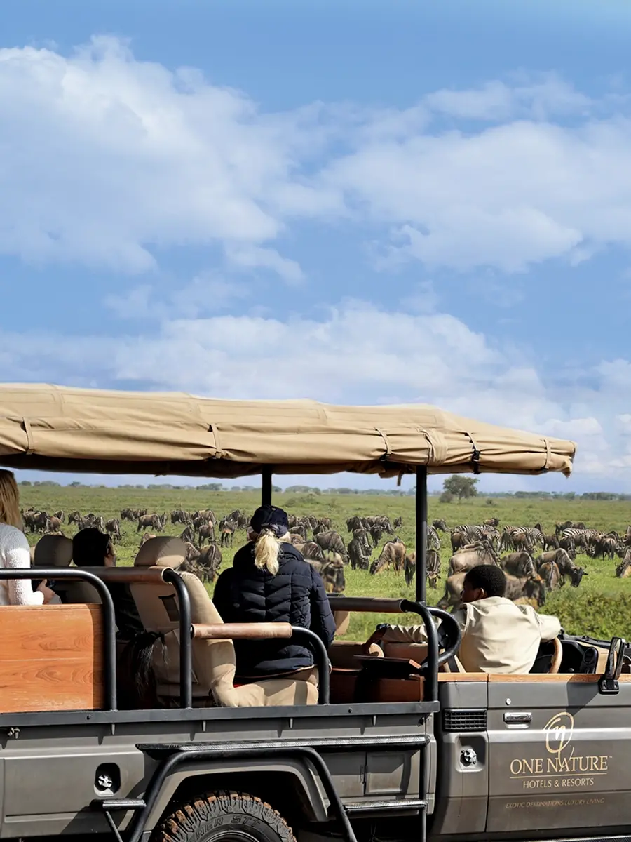 A thrilling African Safari game drive with friends in the Serengeti National Park.