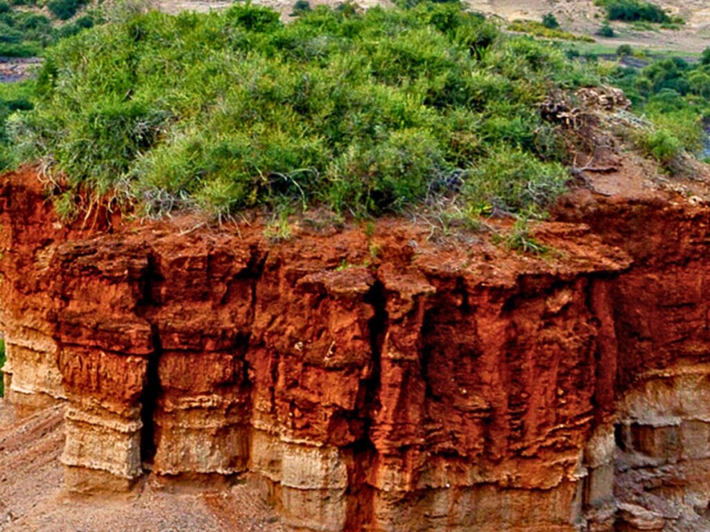 Olduvai Gorge is located near the Ngorongoro Crater in Tanzania.