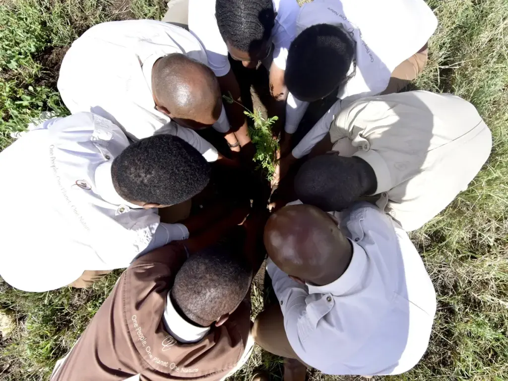 One Nature's team planted a tree, showcasing their unwavering dedication to conservation efforts in the Serengeti.
