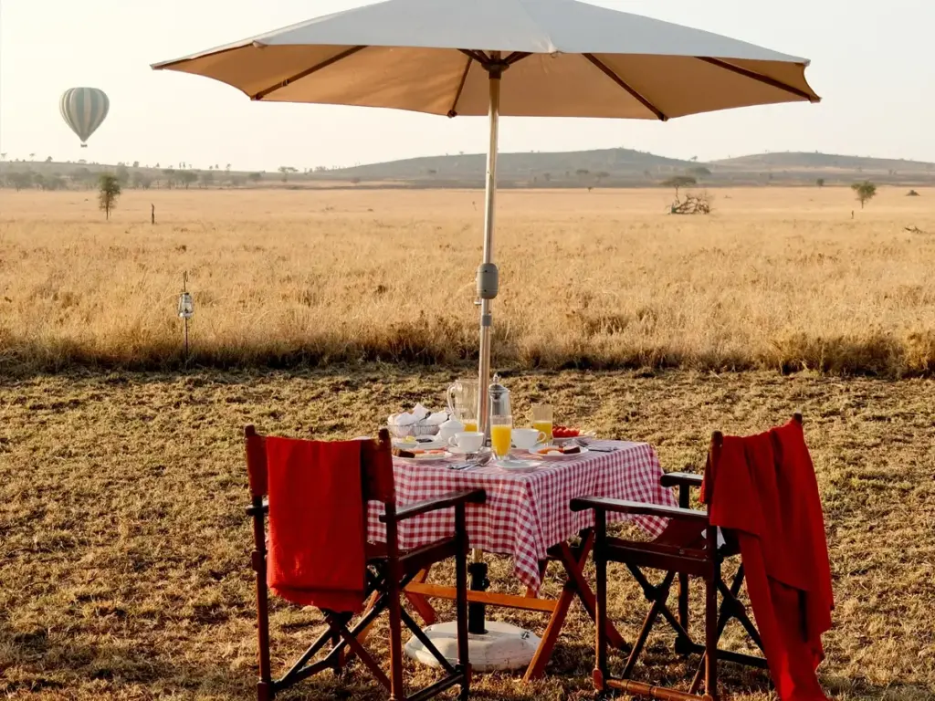 A bush breakfast amidst the untamed Serengeti plains.