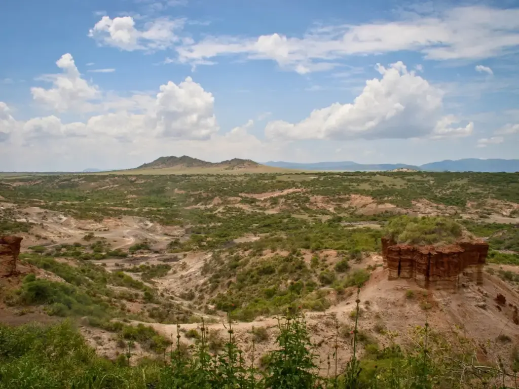 Olduvai Gorge is spread across a large area in Tanzania, Africa.