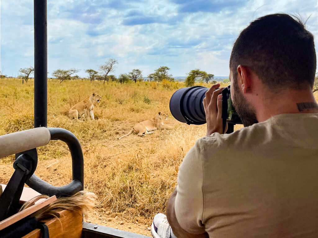 Capturing lions on a photo safari with One Nature.