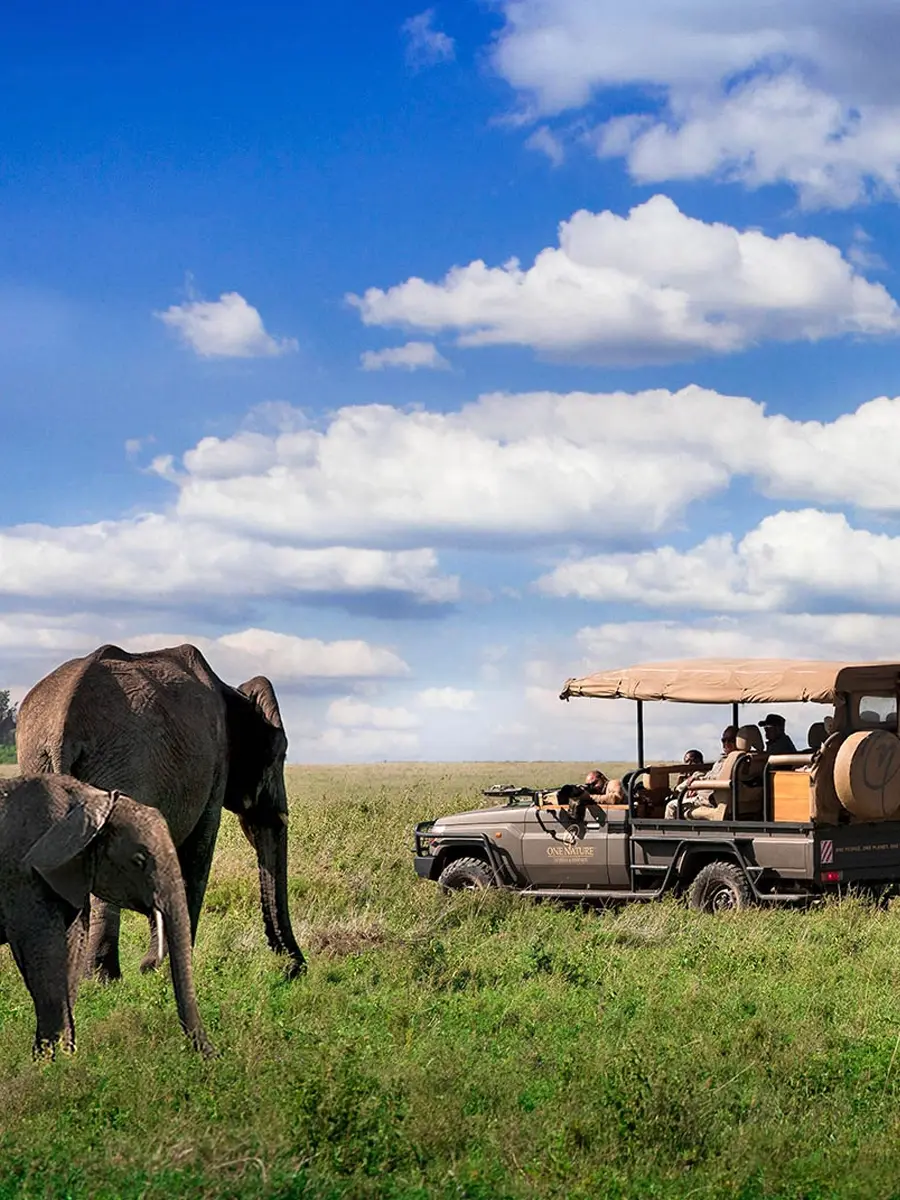 Photo Safari with One Nature in the Serengeti.