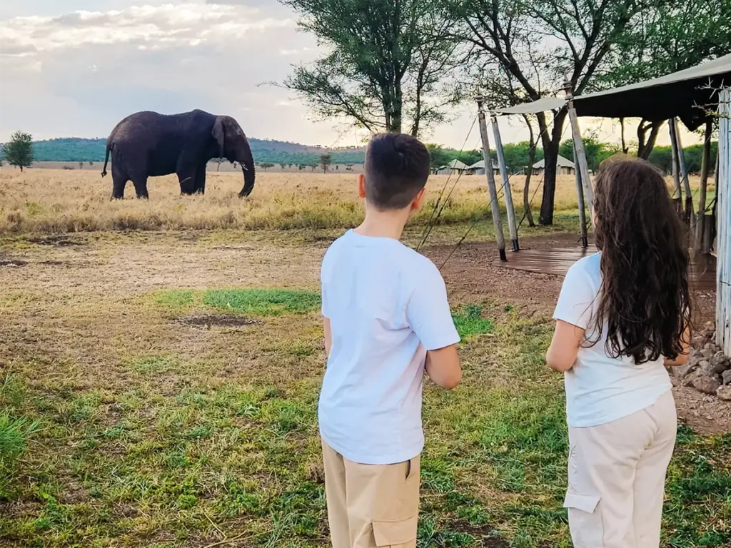 Children having an up-close encounter with the African Elephants in the confines of One Nature Nyaruswiga.