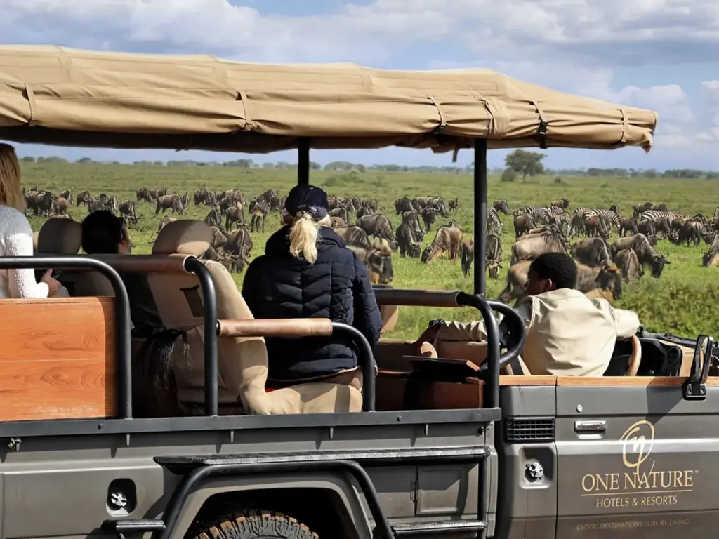 Witness wildebeests and zebras on an African Safari with One Nature Lodges in the Serengeti National Park.