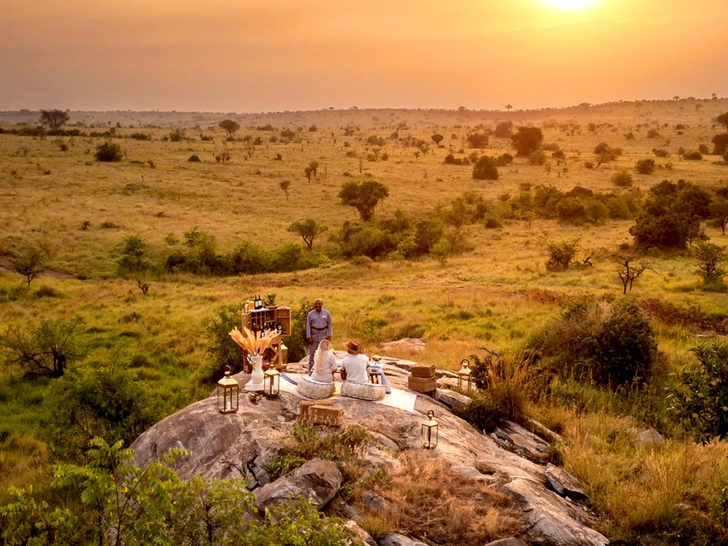 A couple enjoying a game drive in the Serengeti, with a herd of elephants in the background and a professional guide pointing out wildlife.