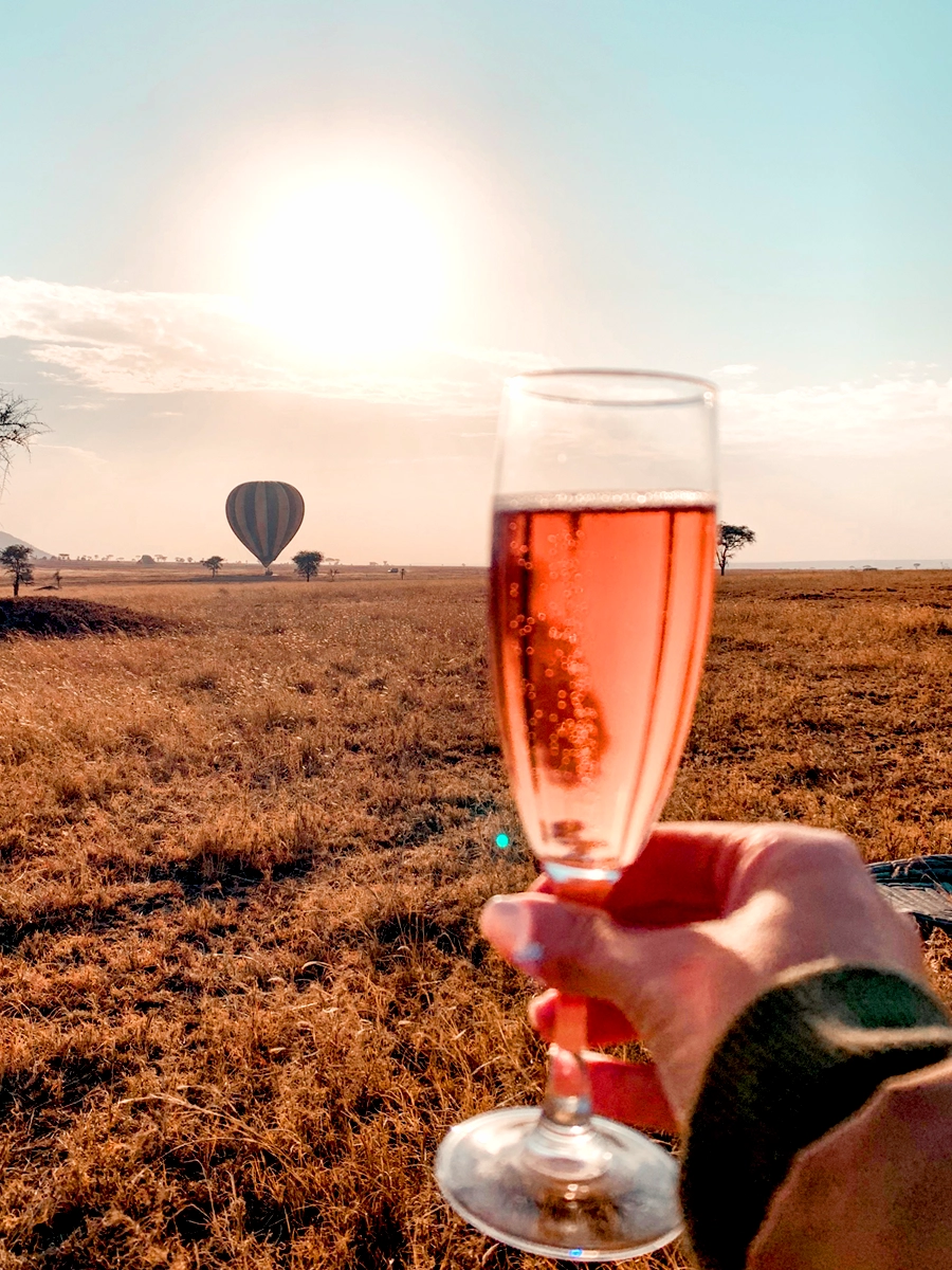 Hand holding a glass of rosé with a hot air balloon over a golden savannah at sunrise.