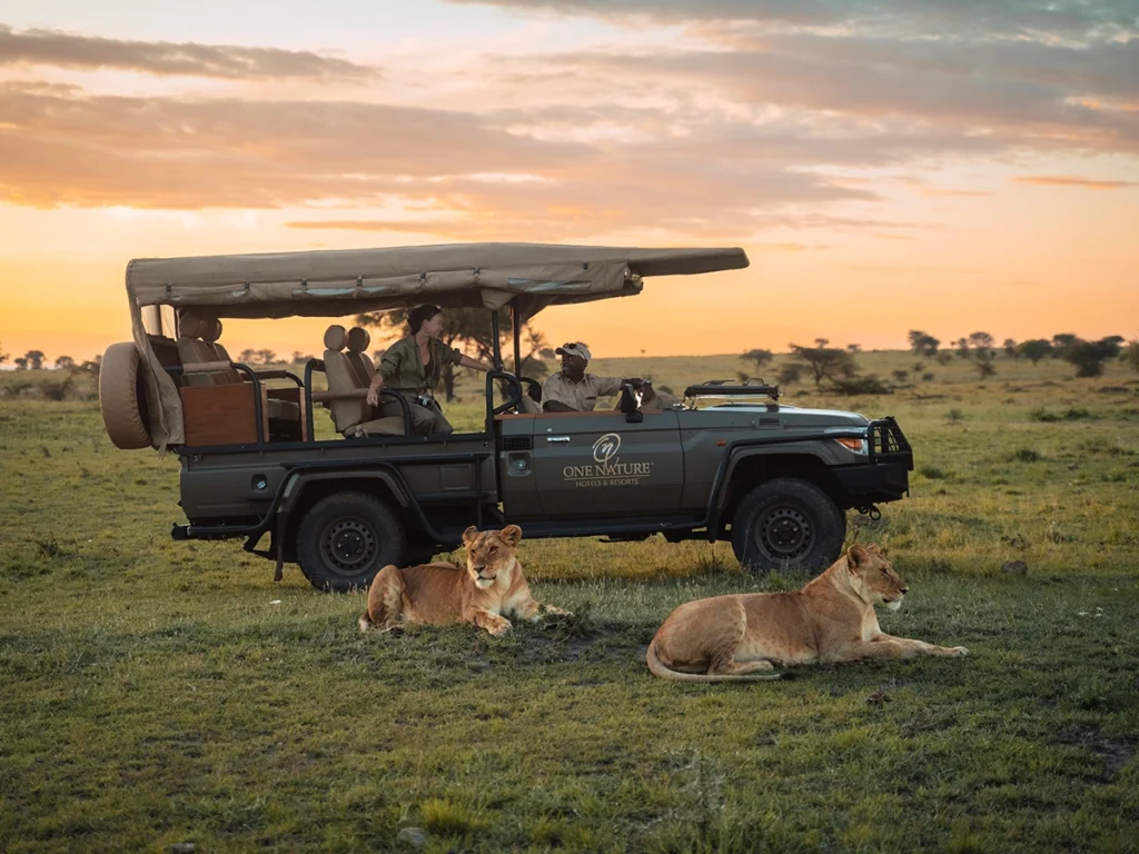 Luxury safari game drive with One Nature Hotels in the Serengeti.