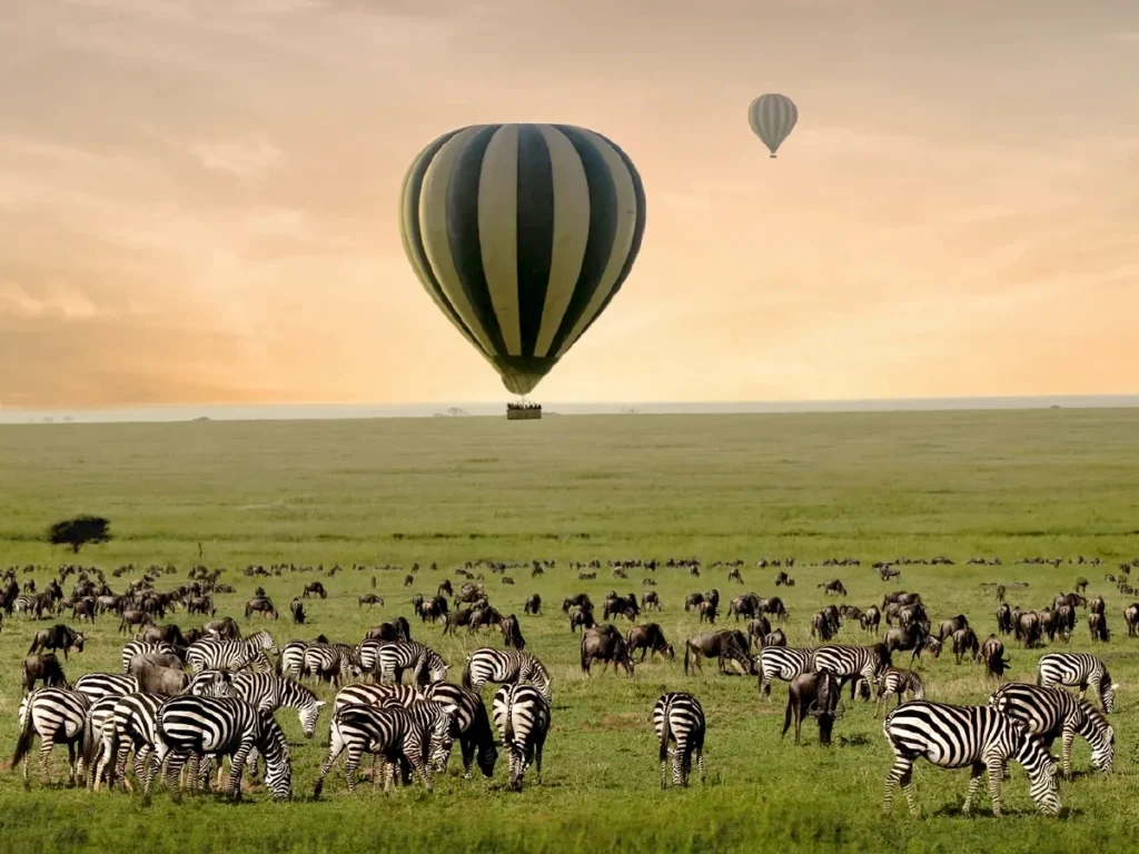 Hot air balloon rides over Serengeti National Park.