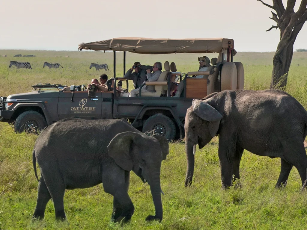 Tourists watching elephants in Serengeti National Park, Tanzania, from a One Nature Hotels safari truck.