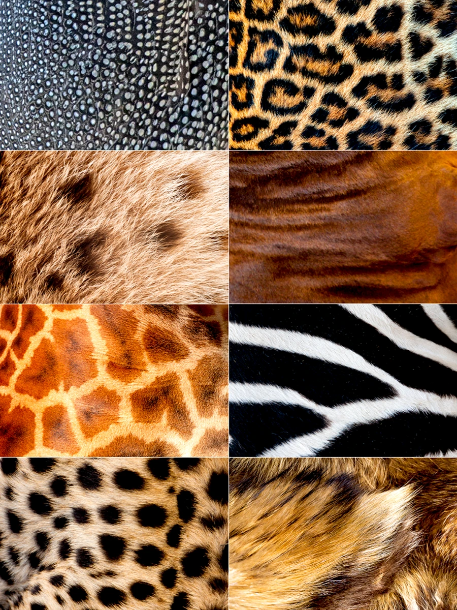 Collage of Serengeti animal patterns - zebra stripes, giraffe patches, leopard rosettes, cheetah spots, hyena fur, guineafowl feathers, and wildebeest shades.