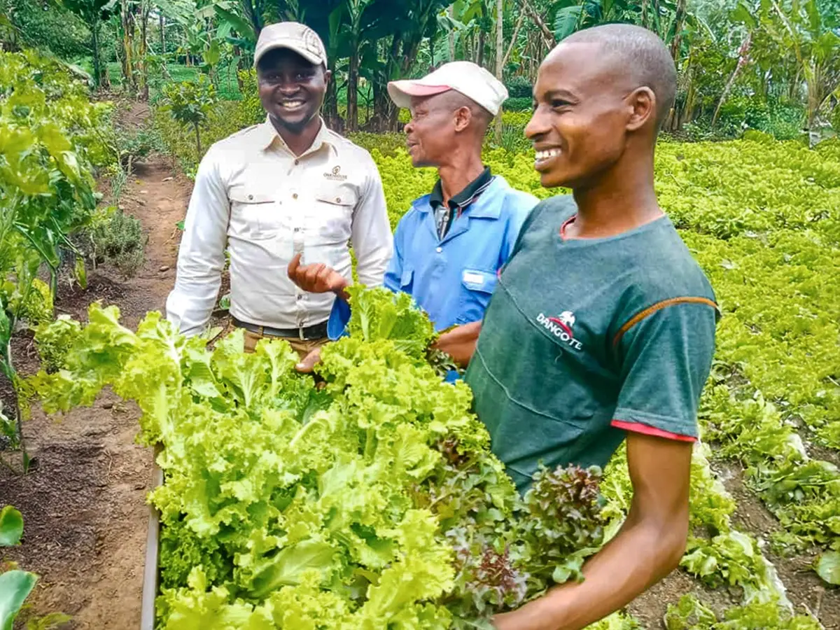 One Nature empowers Serengeti communities by sourcing fresh produce directly from local farmers.