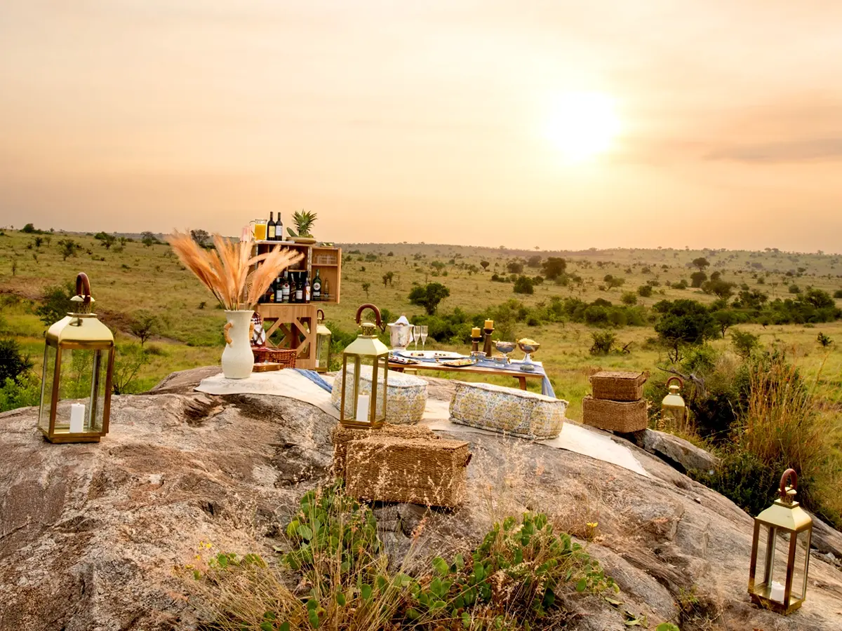Lantern-lit outdoor cinema romance for couples at dusk in Africa’s wild settings.