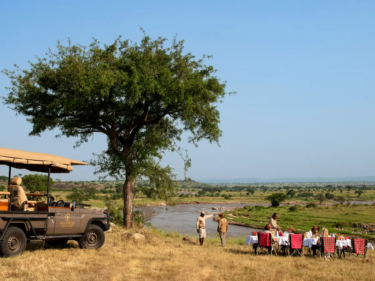 Lantern-lit outdoor cinema romance for couples at dusk in Africa’s wild settings.