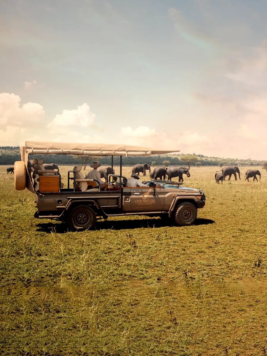 A guest in a safari vehicle watching elephant herds on the Serengeti savannah.