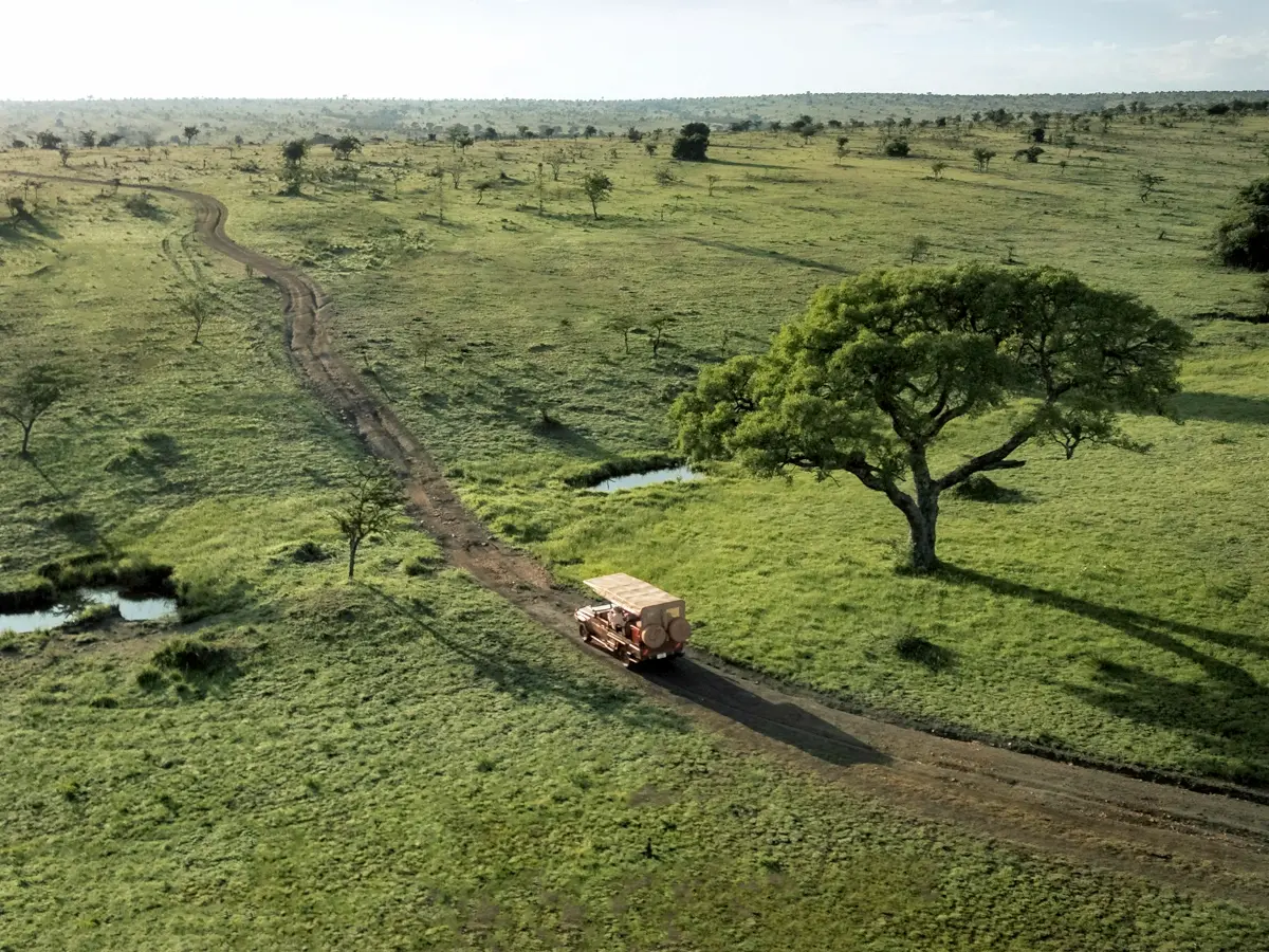A safari vehicle in Serengeti National Park’s sweeping green savannas | One Nature