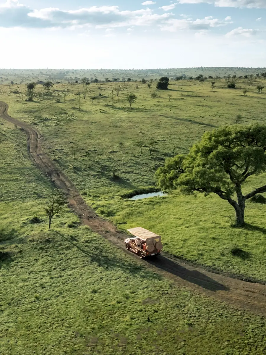 A safari vehicle in Serengeti National Park’s sweeping green savannas | One Nature